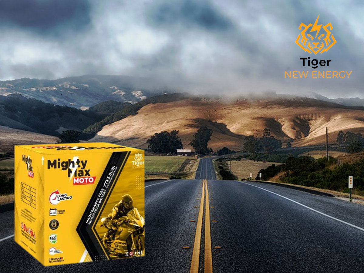 Tiger New Energy